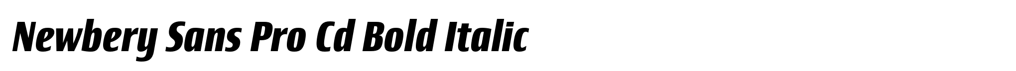 Newbery Sans Pro Cd Bold Italic image